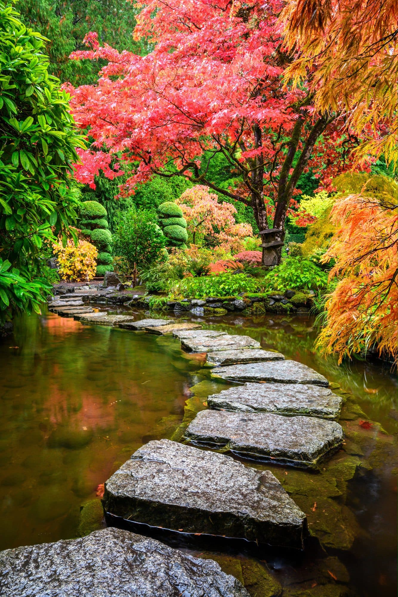Japanese Zen